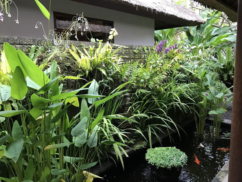 Bali Villa Aja سمينياك المظهر الخارجي الصورة